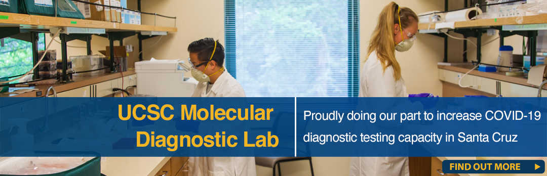 molecular diagnostic lab banner